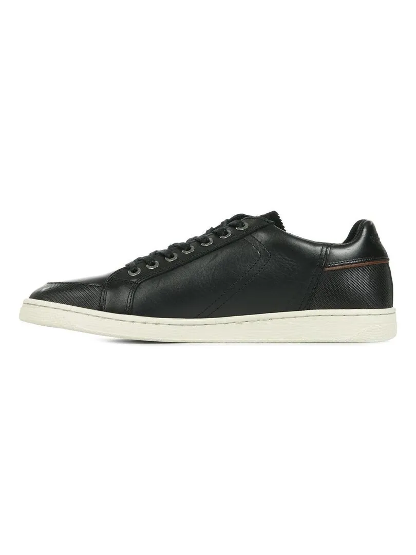 Baskets Ficusi - Noir