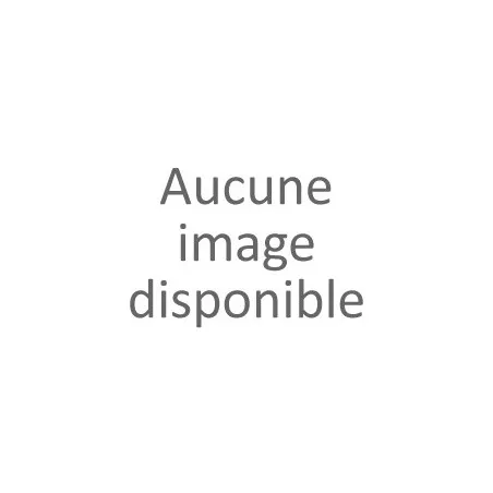 Echarpe femme coloris canard