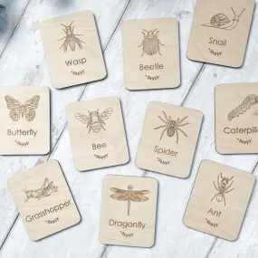 Fox & Bramble Minibeasts Flashcards - Trouva