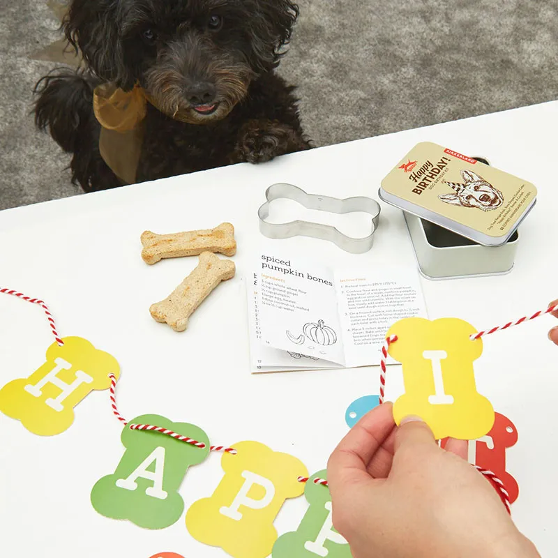 KIKKERLAND - KIT HAPPY BIRTHDAY DOG - littlecasba.com