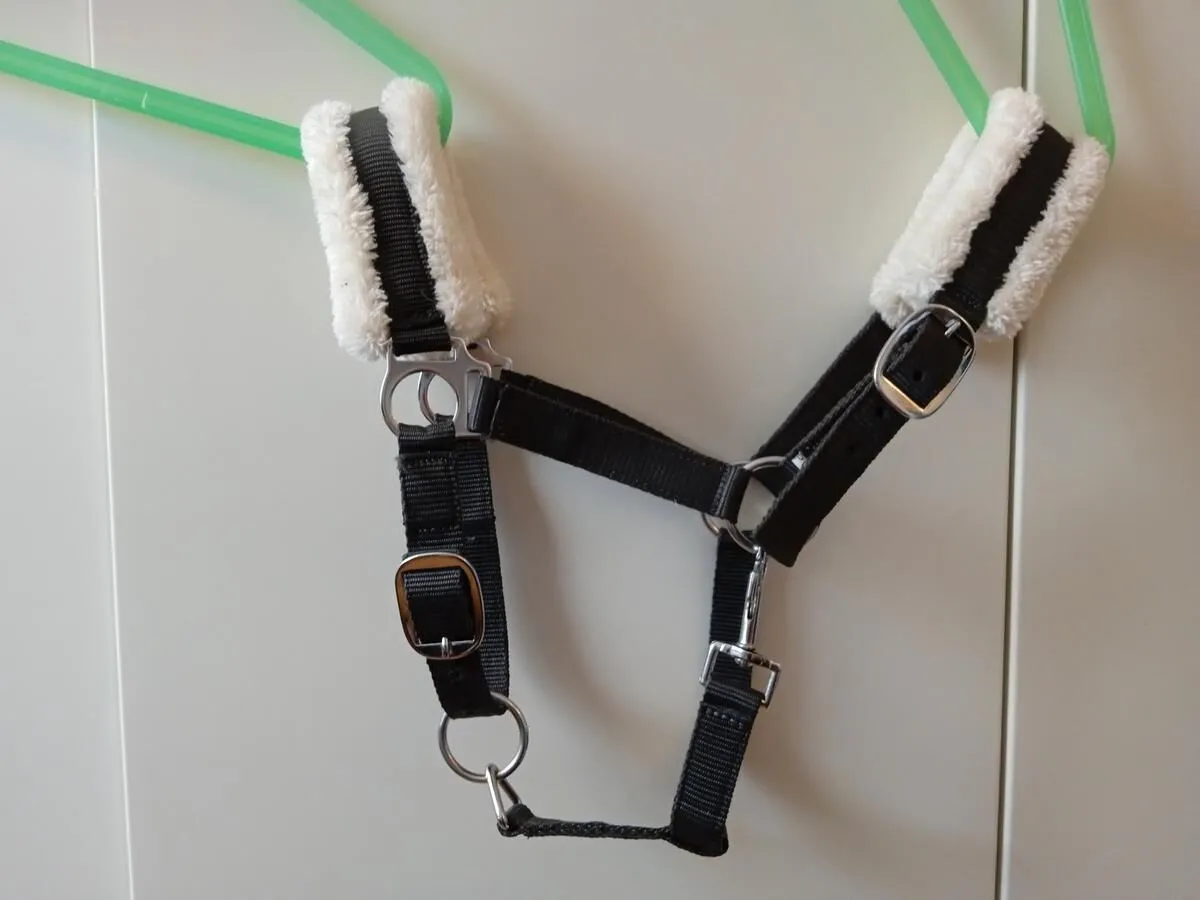 Licol Norton Mouton synthétique doux