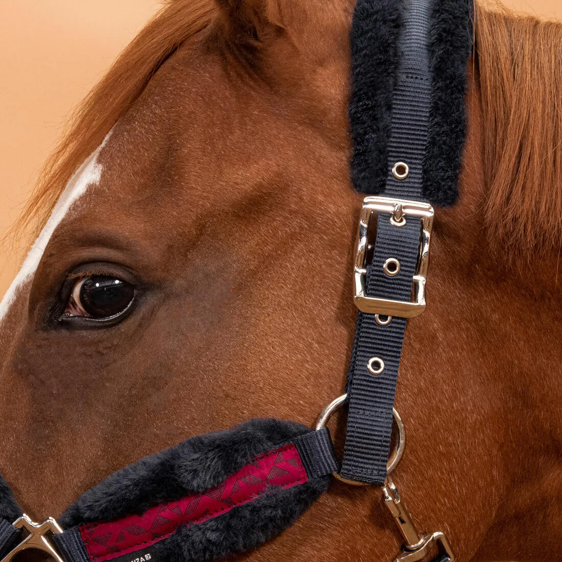 Licol équitation Cheval - Confort