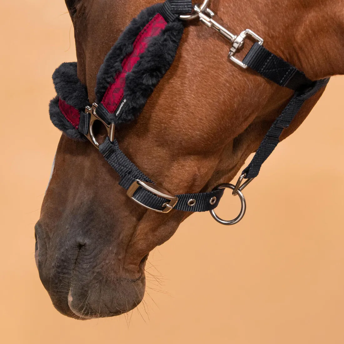 Licol équitation Cheval - Confort