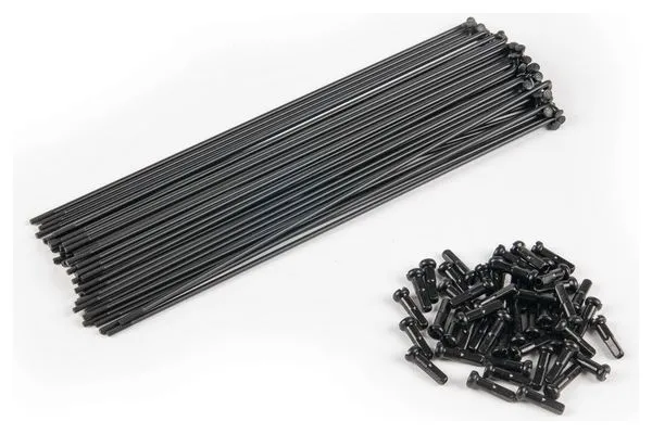 RAYONS ECLAT PG 186mm BLACK (x40)