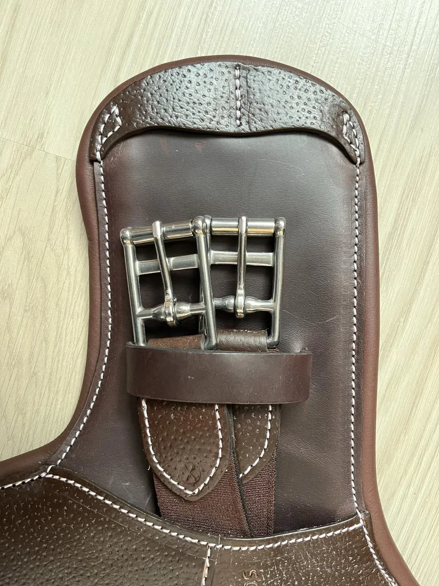 Sangle Bavette courte Forestier