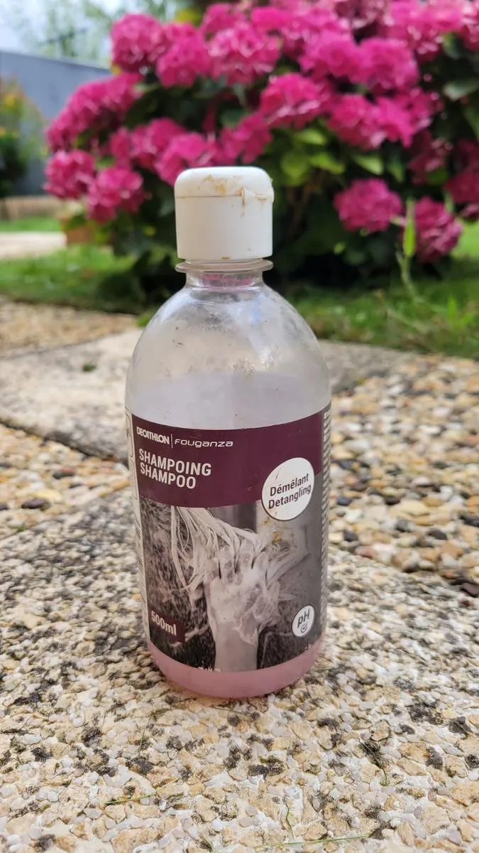 Shampoing démêlant Fouganza